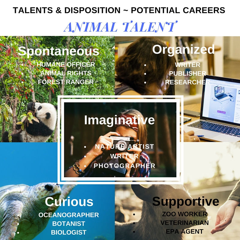 Animal Talent Disposition Potential Careers (4)