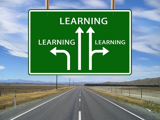 Testing: Skills or Content?