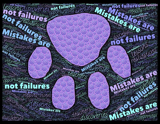 Opportunities versus “Mistakes”
